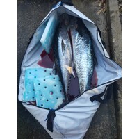 150cm Flat Fish Bag with 10mm Foam, Review by Jordan Reed Taree NSW